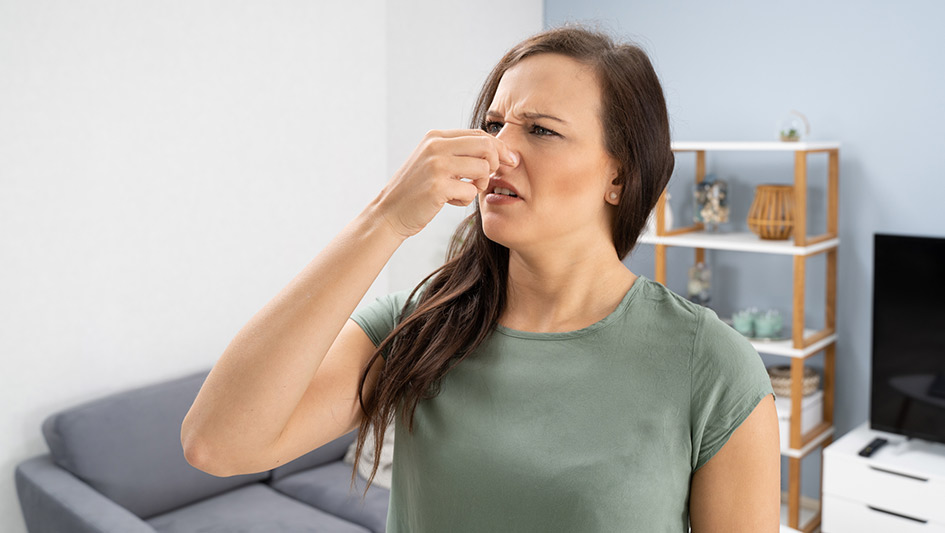 Six Common Air Conditioner Smells Answered and How to Fix the Problem